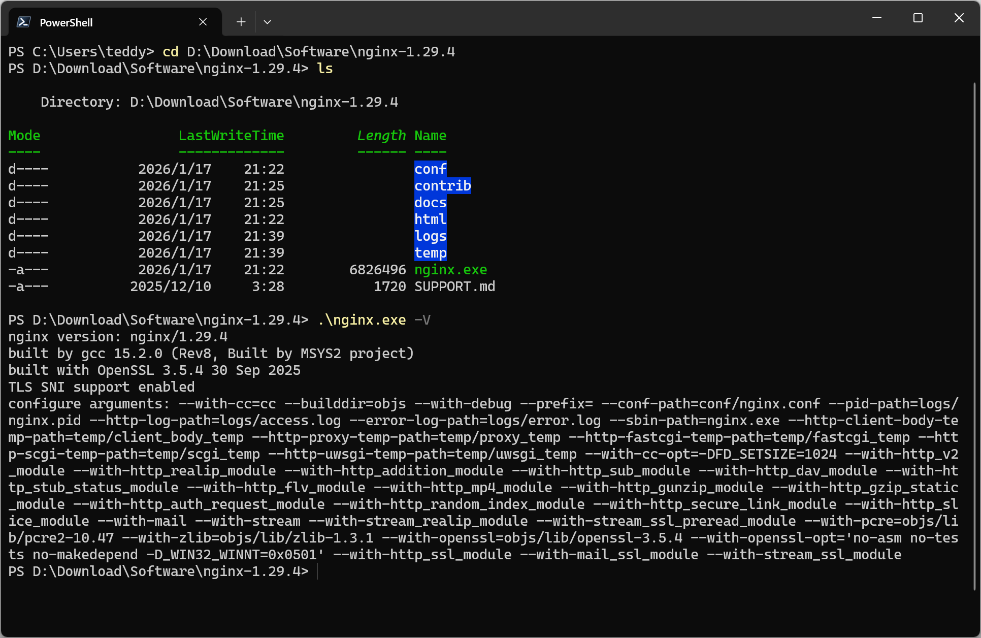 nginx version